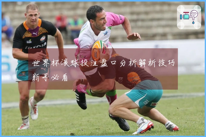世界杯滚球投注盘口分析解析技巧新手必看