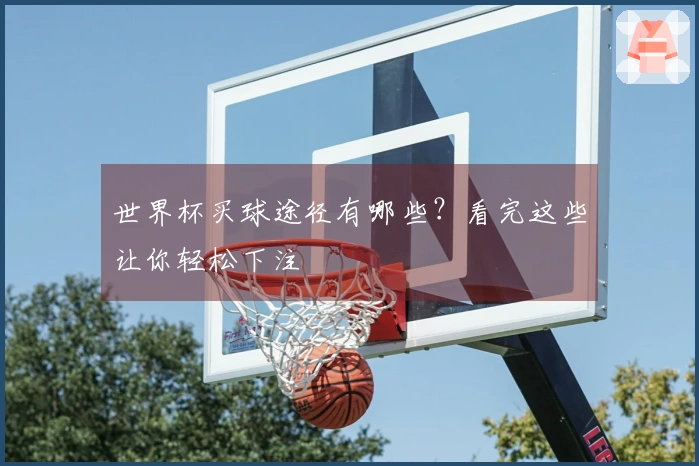 世界杯买球途径有哪些？看完这些让你轻松下注